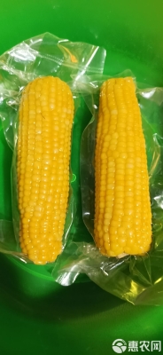 赤峰鮮食玉米廠家地址電話號(hào)碼-第1張圖片