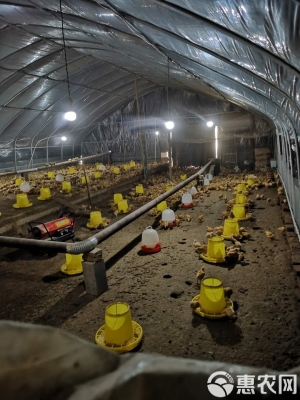 赤峰大棚種植養(yǎng)殖基地電話號碼-第1張圖片