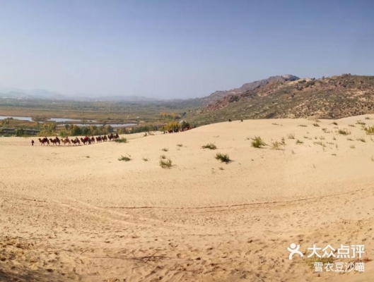 赤峰玉龍垂釣場電話號碼查詢-第1張圖片