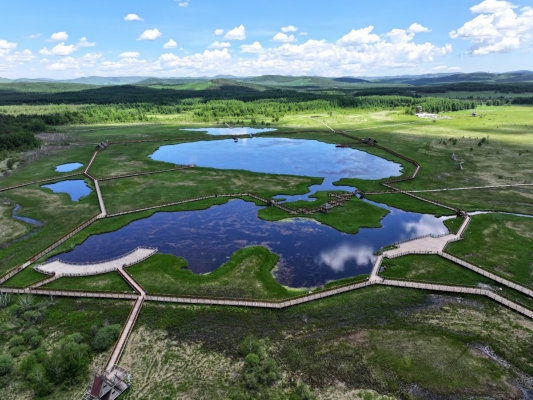 赤峰市奧林賓館電話號(hào)碼-第1張圖片