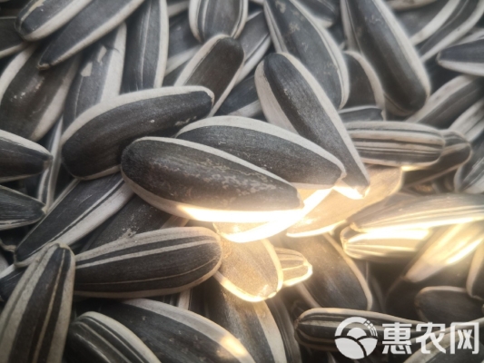 赤峰瓜子晾曬機(jī)廠家電話號碼-第1張圖片