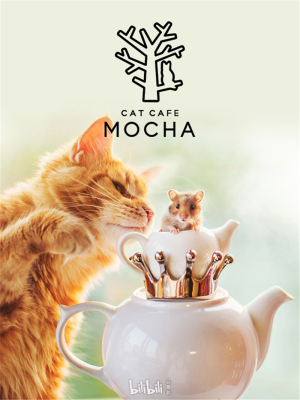 赤峰貓咪咖啡廳地址電話號碼-第1張圖片