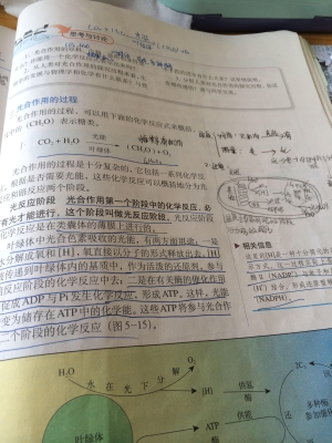 赤峰紅旗中學(xué)圖書館電話號碼-第1張圖片