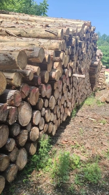 赤峰市收購木材在哪里-第1張圖片