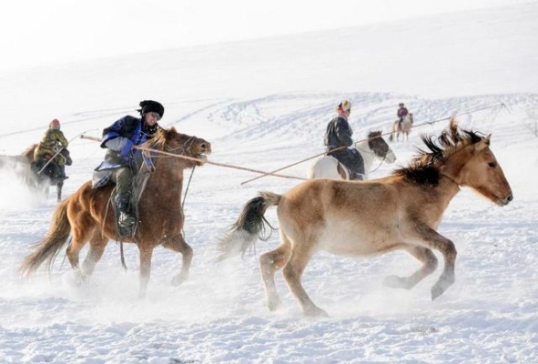 赤峰市馬占國-第1張圖片
