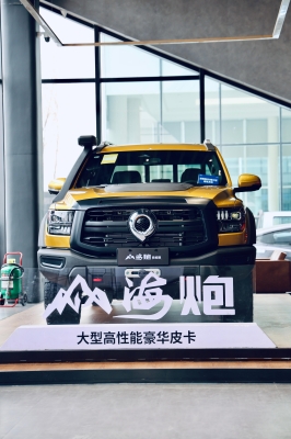 赤峰長城皮卡4s店電話號碼-第1張圖片