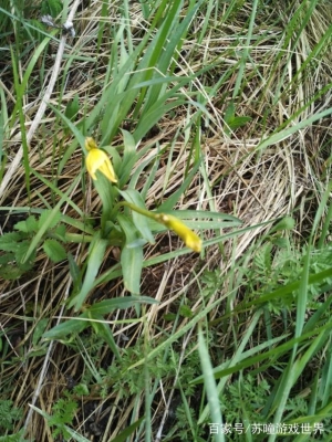 赤峰綠色干洗店加盟電話號碼-第1張圖片