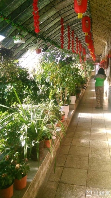 赤峰學(xué)生餐廳電話多少號(hào)碼-第1張圖片