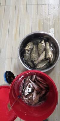 赤峰鑫晟釣具電話多少號-第1張圖片