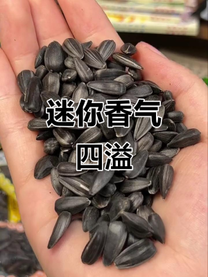 內蒙赤峰收瓜子電話號碼是多少-第1張圖片