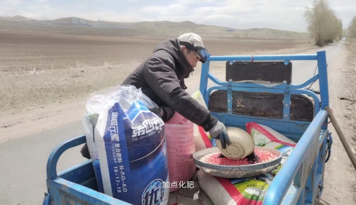 赤峰東子玉米出售電話地址查詢-第1張圖片