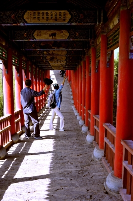 赤峰晉善晉美飯店電話號(hào)碼-第1張圖片