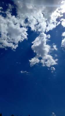 赤峰寶梓賓館電話號(hào)碼多少-第1張圖片