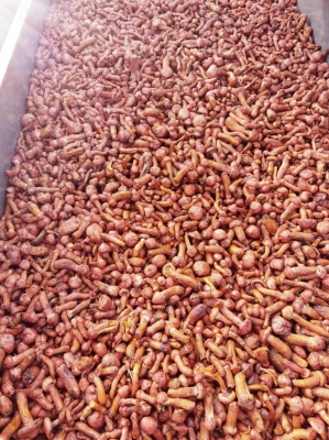 赤峰賣野蘑菇的地方電話號(hào)碼-第1張圖片