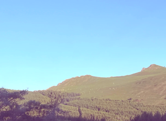 綿陽到赤峰多少公里-第1張圖片