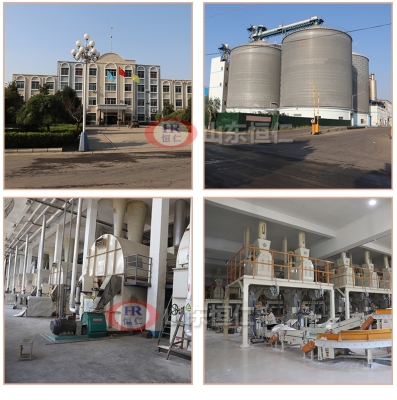 赤峰玉米胚芽粕廠家電話號碼-第1張圖片