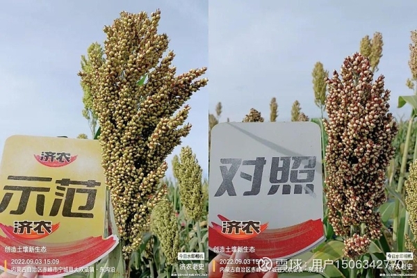 赤峰薈祥農(nóng)資電話號(hào)碼查詢(xún)-第1張圖片