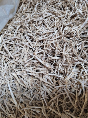 赤峰竹條廠電話號碼多少號-第1張圖片