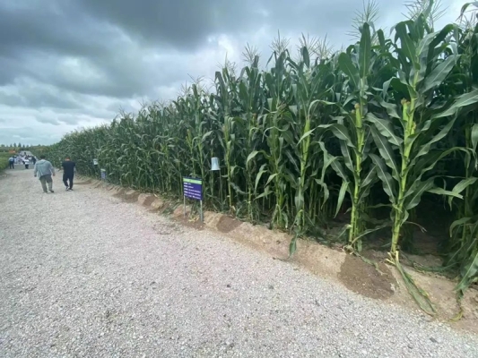 赤峰市林東糧油廠電話號碼-第1張圖片