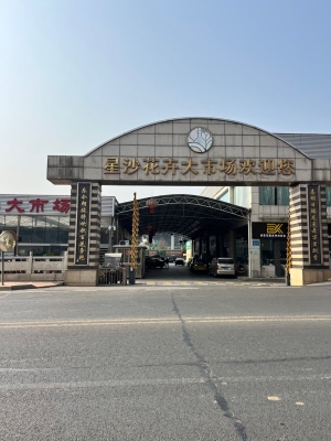 赤峰綠植批發(fā)市場(chǎng)-第1張圖片