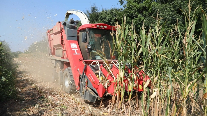 赤峰玉米收割機(jī)-第1張圖片