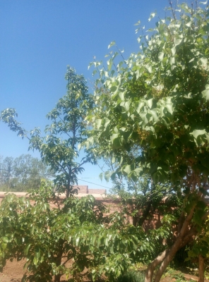 赤峰寧城柔式按摩電話地址查詢-第1張圖片