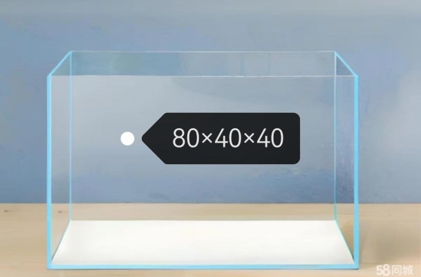 赤峰魚(yú)缸公司電話(huà)地址是多少號(hào)-第1張圖片