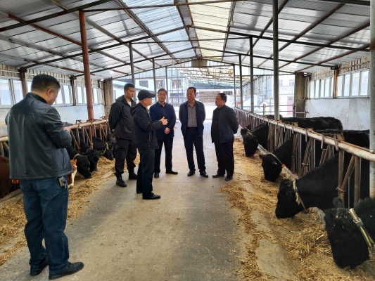 赤峰種牛站-第1張圖片