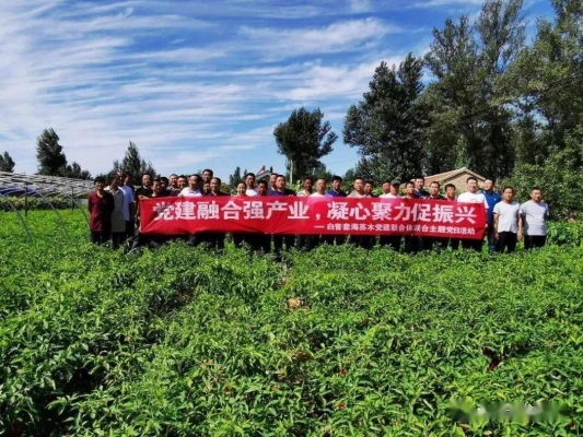 赤峰翁旗司儀局局長電話號碼-第1張圖片