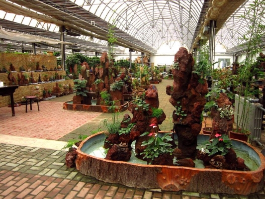 赤峰天義花卉市場(chǎng)電話號(hào)碼-第1張圖片