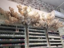 赤峰指甲塑形修復(fù)店電話號(hào)碼-第1張圖片