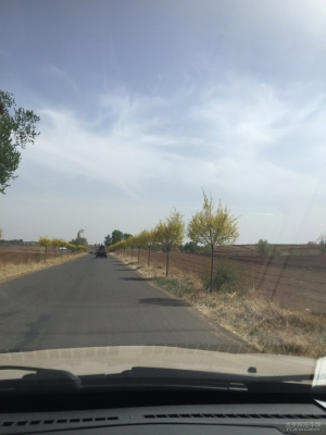 赤峰皓影車隊(duì)電話號(hào)碼查詢-第1張圖片