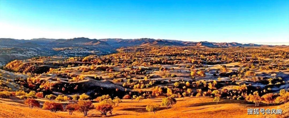 赤峰樹云農(nóng)家院電話號碼-第1張圖片