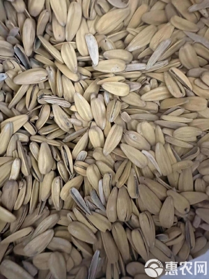 赤峰市收打瓜子電話號碼-第1張圖片