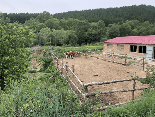 赤峰榮安養(yǎng)老院電話號碼-第1張圖片