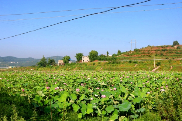 赤峰猴頭溝艷華酒店電話號碼-第1張圖片