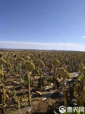 赤峰梧桐花金庭賓館電話號碼-第1張圖片