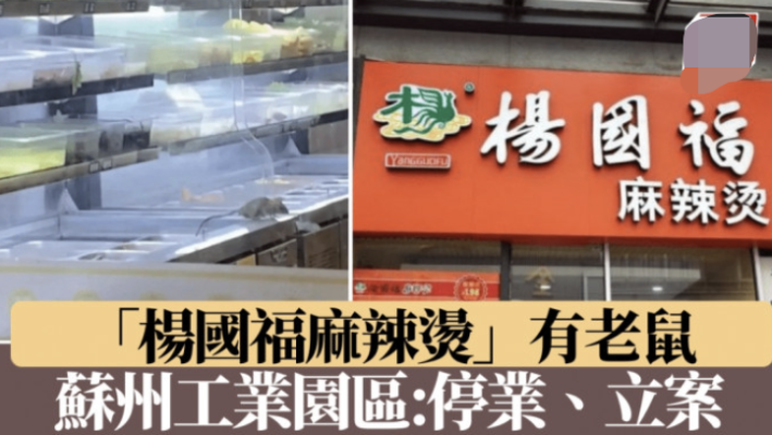 赤峰楊國(guó)福麻辣燙分布圖-第1張圖片