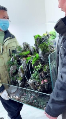 赤峰水陸缸景觀定制電話號(hào)碼-第1張圖片