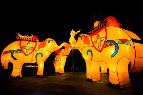 赤峰紅山夢(mèng)幻樂園電話多少號(hào)-第1張圖片