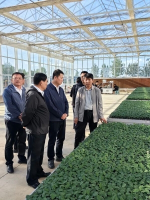 赤峰寧城縣骨科醫(yī)院電話號(hào)碼-第1張圖片