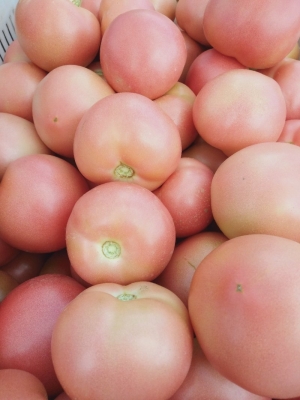 赤峰林西果園電話多少號-第1張圖片