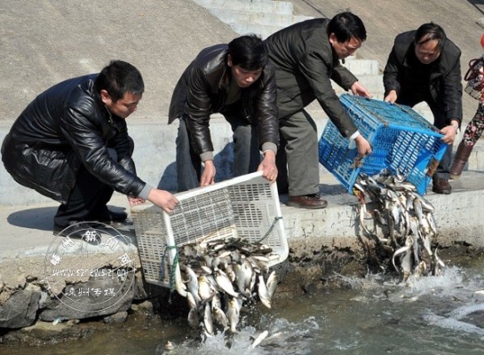 赤峰大棚送春聯(lián)電話號碼查詢-第1張圖片