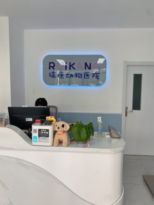 赤峰狗狗代買平臺電話號碼-第1張圖片