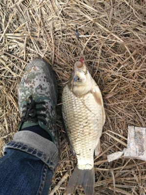 赤峰市大板垂釣園電話號碼-第1張圖片
