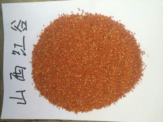 赤峰谷子收購聯(lián)系電話號(hào)碼-第1張圖片