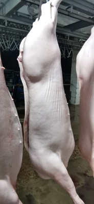 赤峰白條豬肉批發(fā)電話號碼-第1張圖片