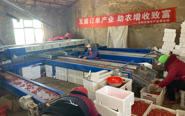 赤峰電商工作室電話號碼-第1張圖片