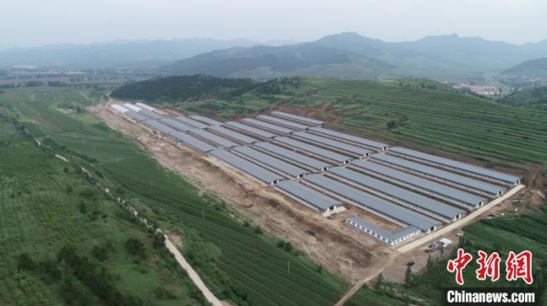 赤峰到小牛群的客車電話號(hào)碼-第1張圖片