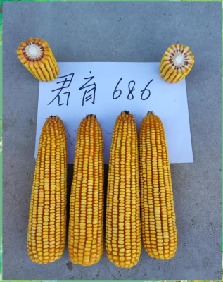 大連到赤峰大客電話號碼-第1張圖片